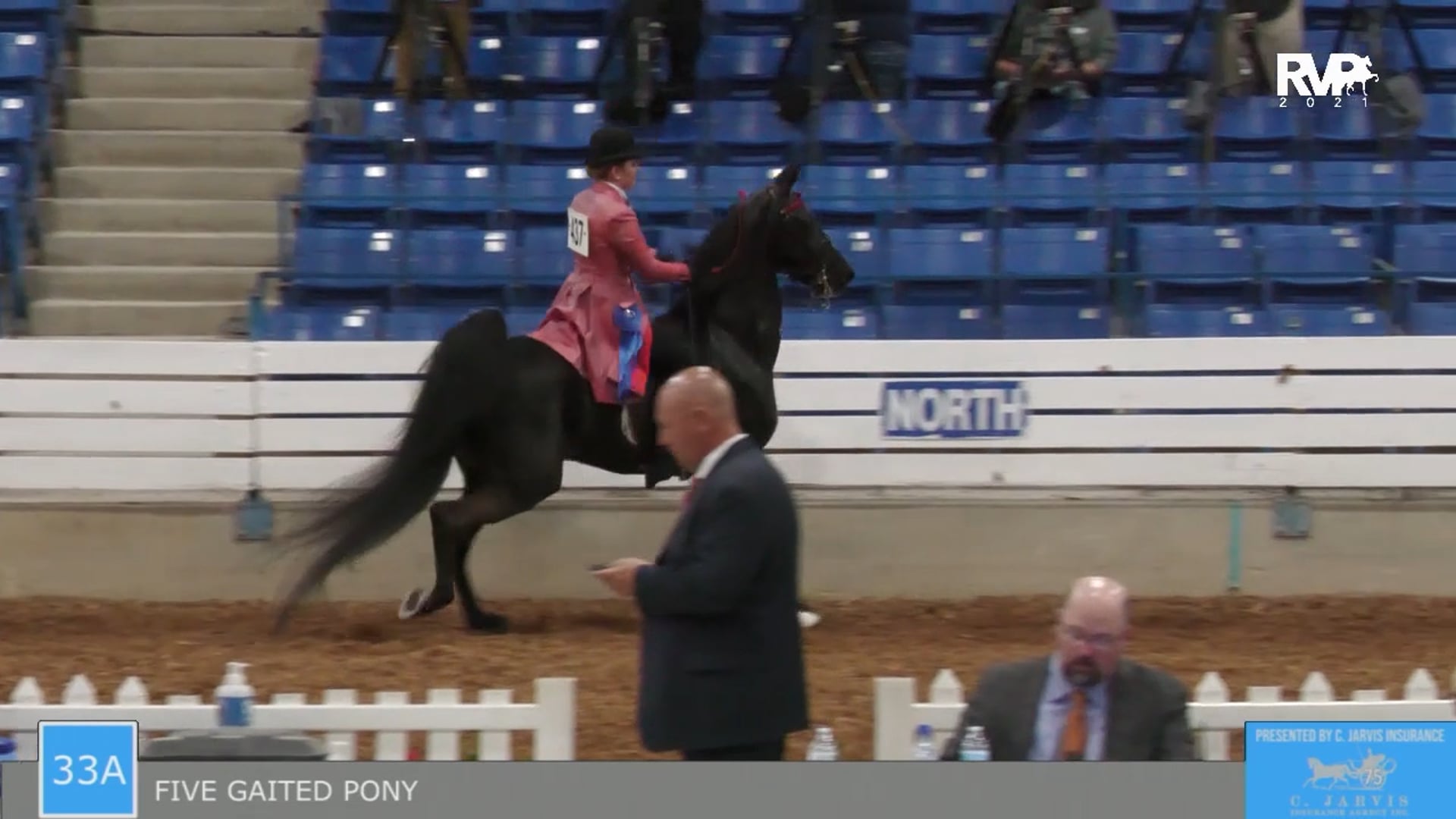SSSF21 - Class 33A - Five Gaited Pony