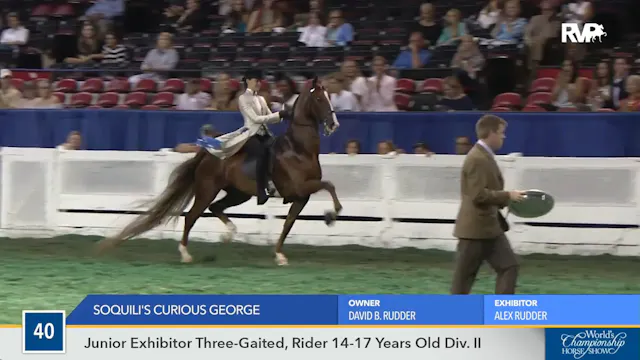 WCHS16 - Soquilli's Curious George 