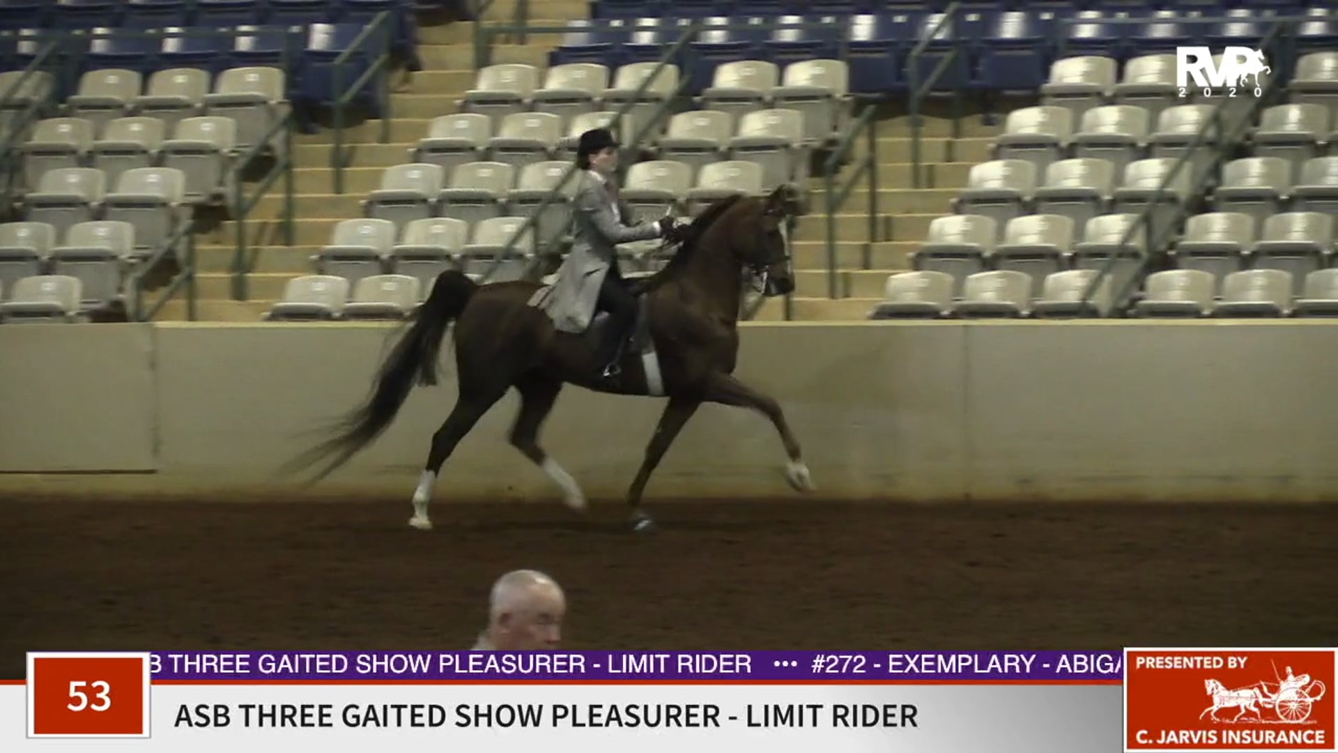2020 SSFF - Class 53 ASB Three Gaited Show Pleasure
Limit Rider