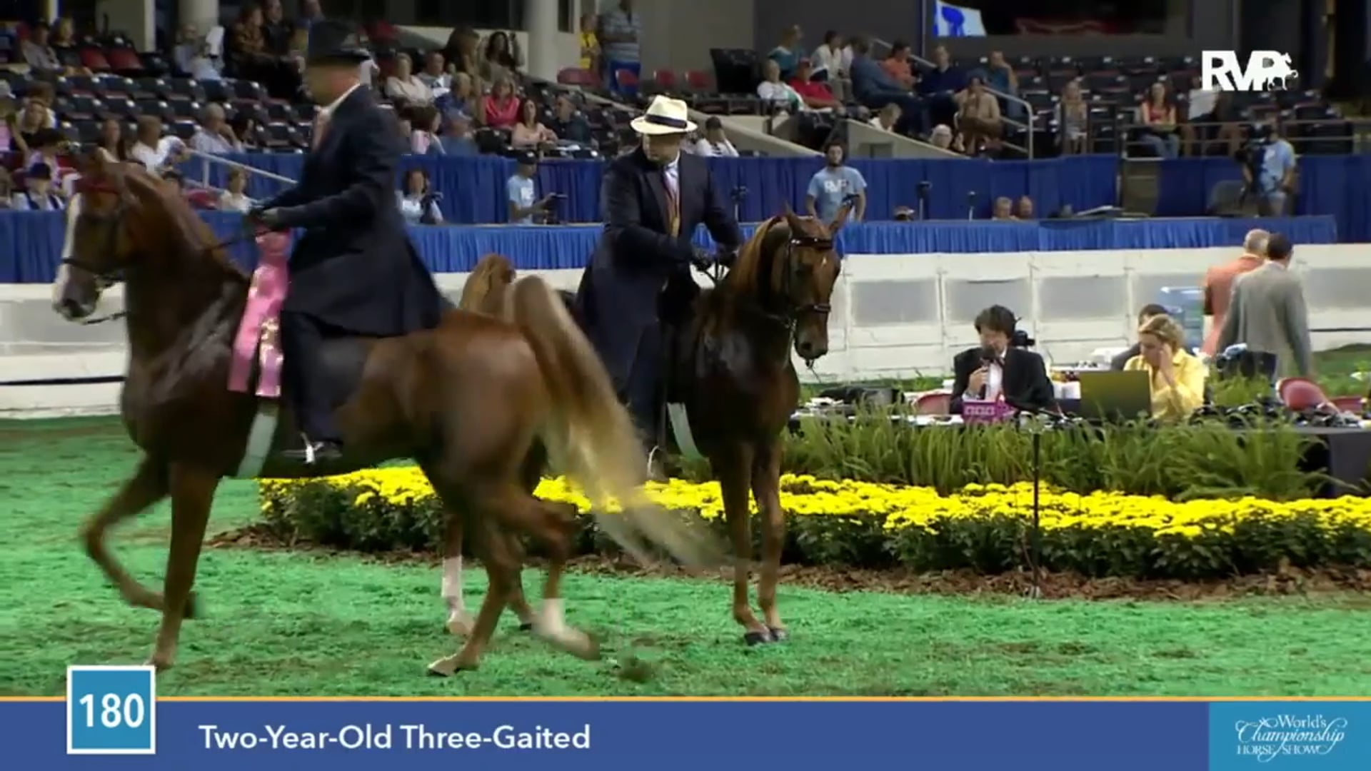 2015 WCHS - Class 180 Two Year Old Three Gaited 