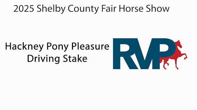 SCF25 - Class 122 - Hackney Pony Plea...