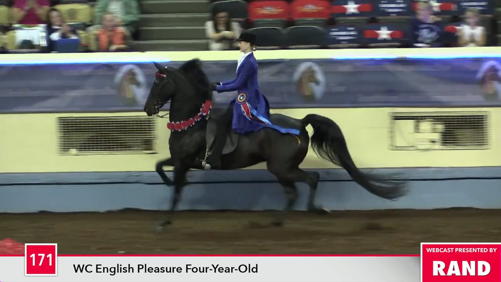 MGN17 - Class 171 - Indian Creek Recordbreaker