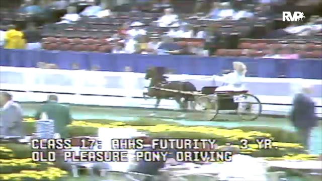 1991 WCHS Class 17 AHHS Futurity Thre...