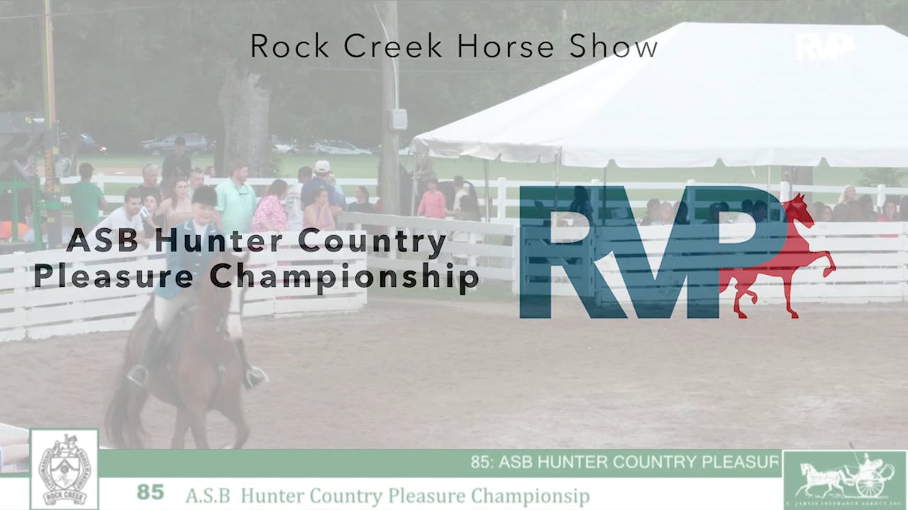 RC24 Class 85 ASB Hunter Country Pleasure Championship 2024