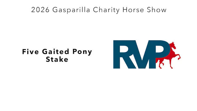 GC26 - Class 112 - Five Gaited Pony S...