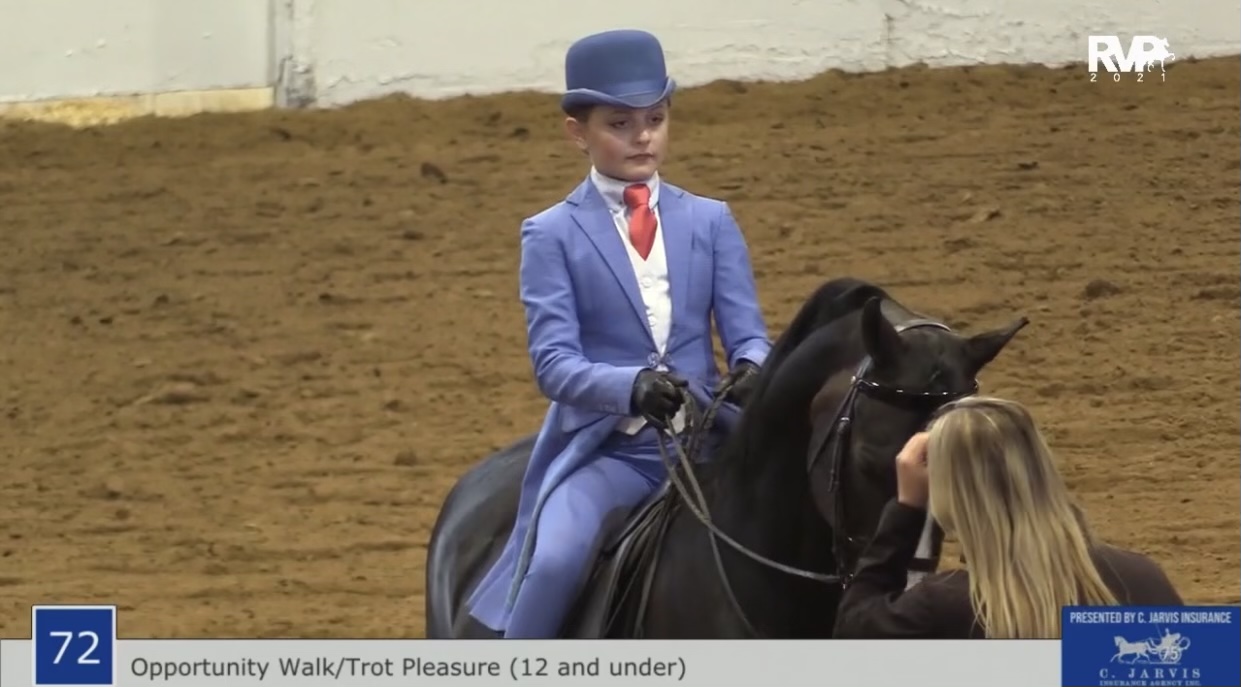 BB21 - Class 72 - Opportunity Walk-Trot Pleasure 12 & Under