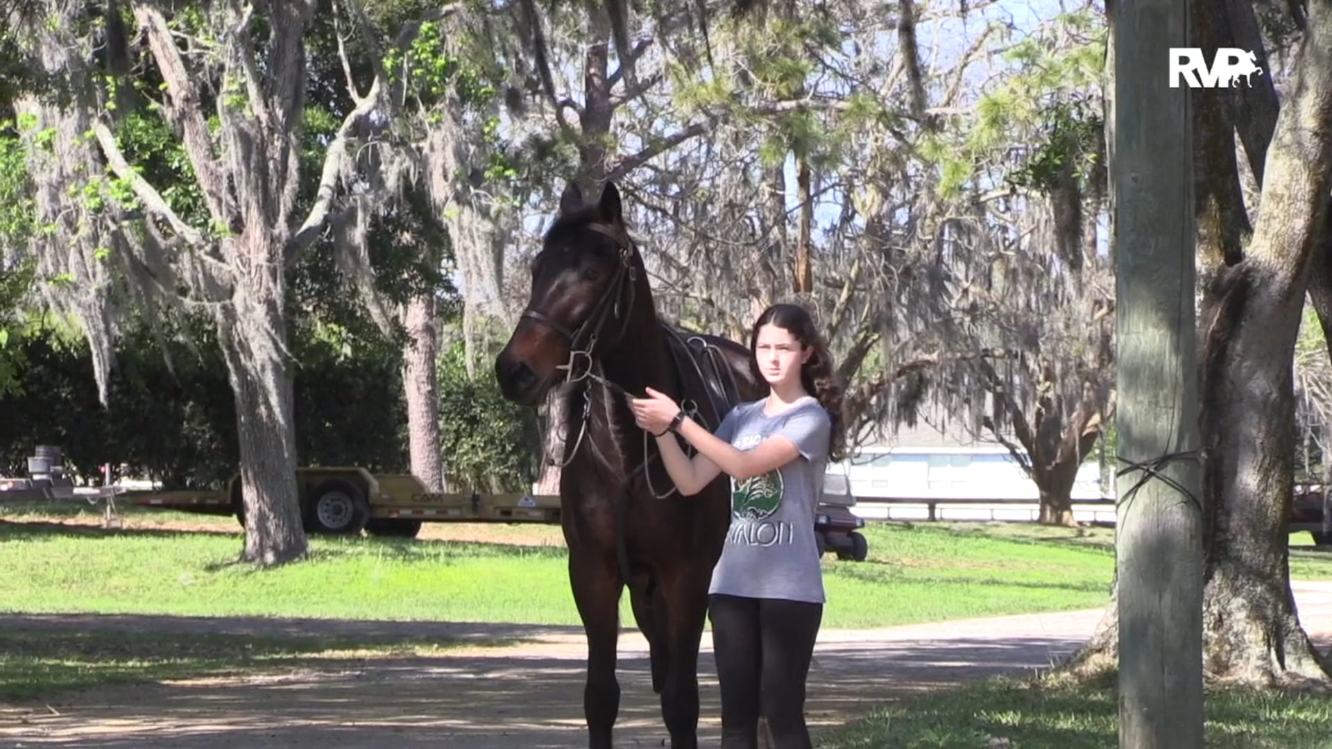 A Visit to Avalon Stables