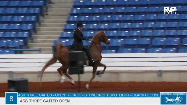 SSSF23 - Class 8 - ASB Three Gaited Open