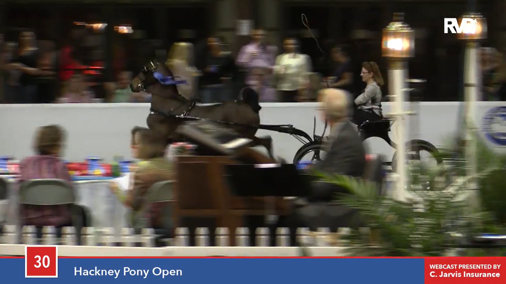 TC16 - Mastercraft's Politician LF