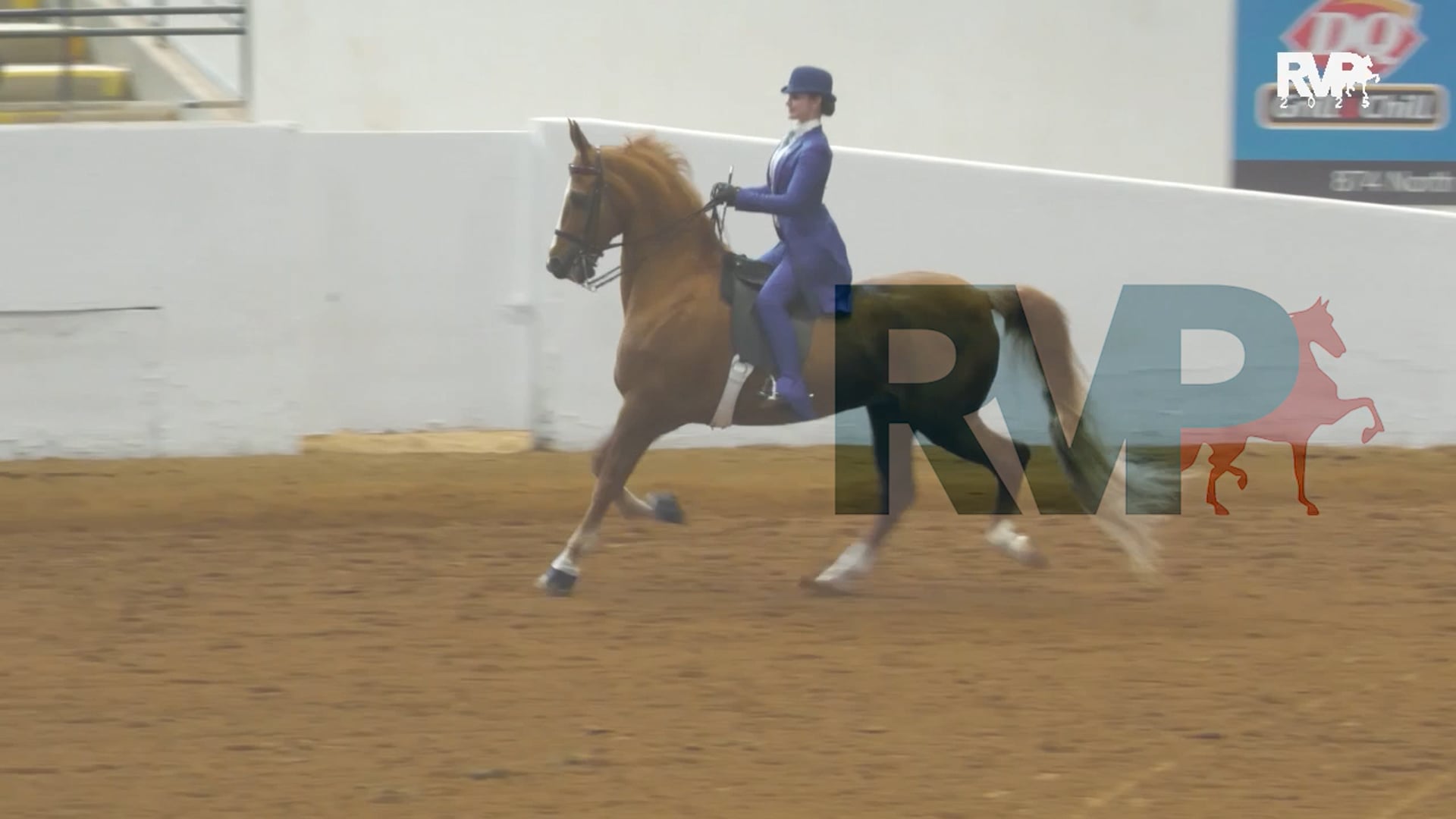 BB25 - Class 115 - Saddle Seat Equitation Pleasure Champ (17 & under)