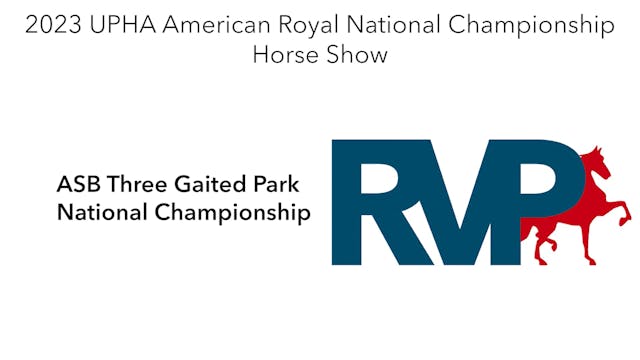 AR23 - Class 189 - ASB Three Gaited P...