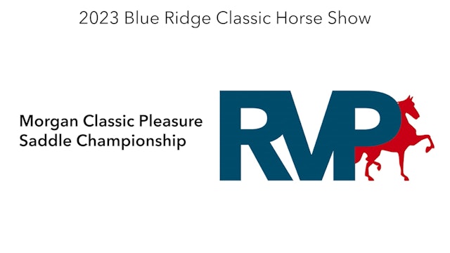 BR23 - Class 218 - Morgan Classic Pleasure Saddle Championship