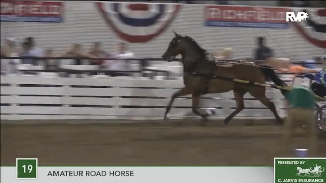 2016 RC - Class 19 Amateur Road Horse 