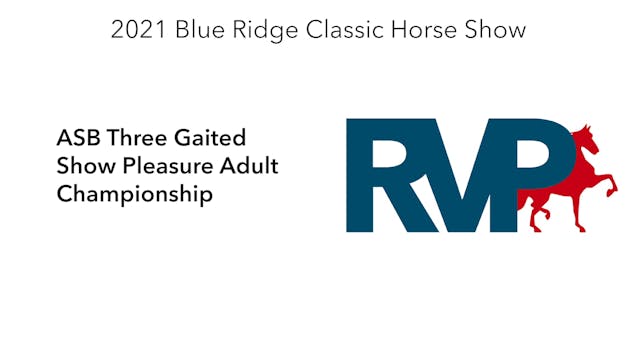 BR21 - Class 207 - ASB Three Gaited S...