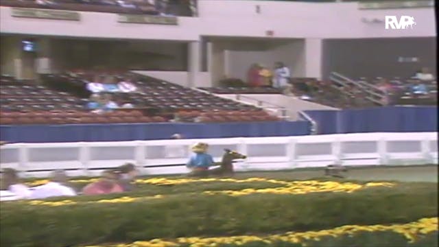 1991 WCHS Class 54 AHHS Hackney Pony ...