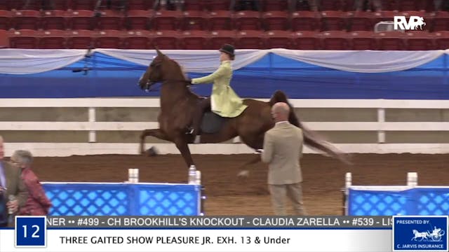 2020 BR - Class 12 Three Gaited Show ...