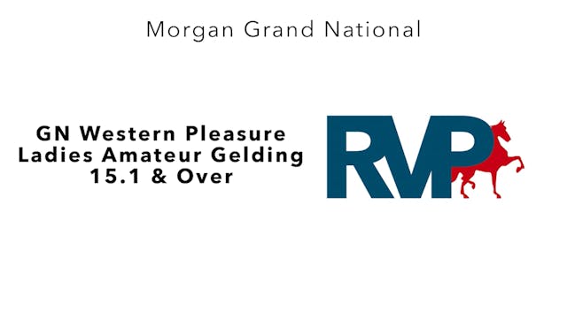 MGN23 - Class 106 - GN Western Pleasu...