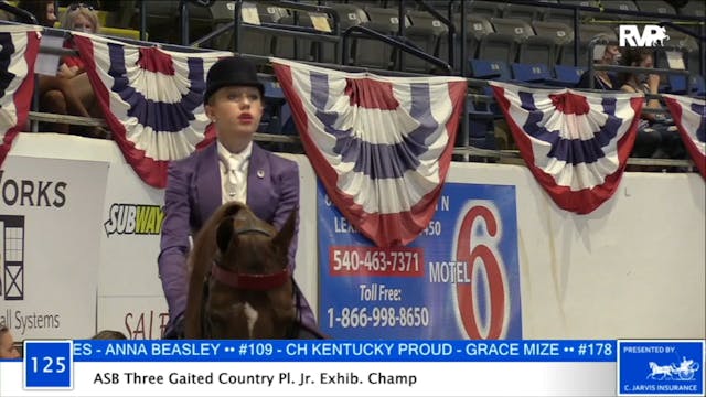 2020 BB - Class 125 ASB Three Gaited ...