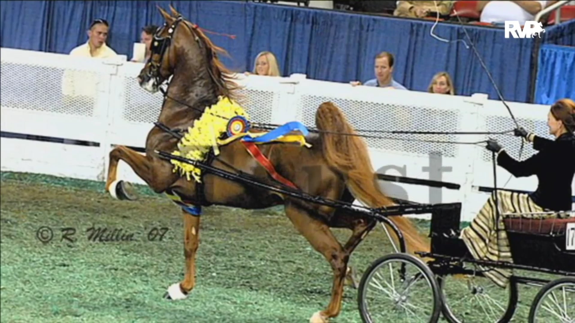 2020 World's Championship Horse Show - Friday Morning - Aug 28