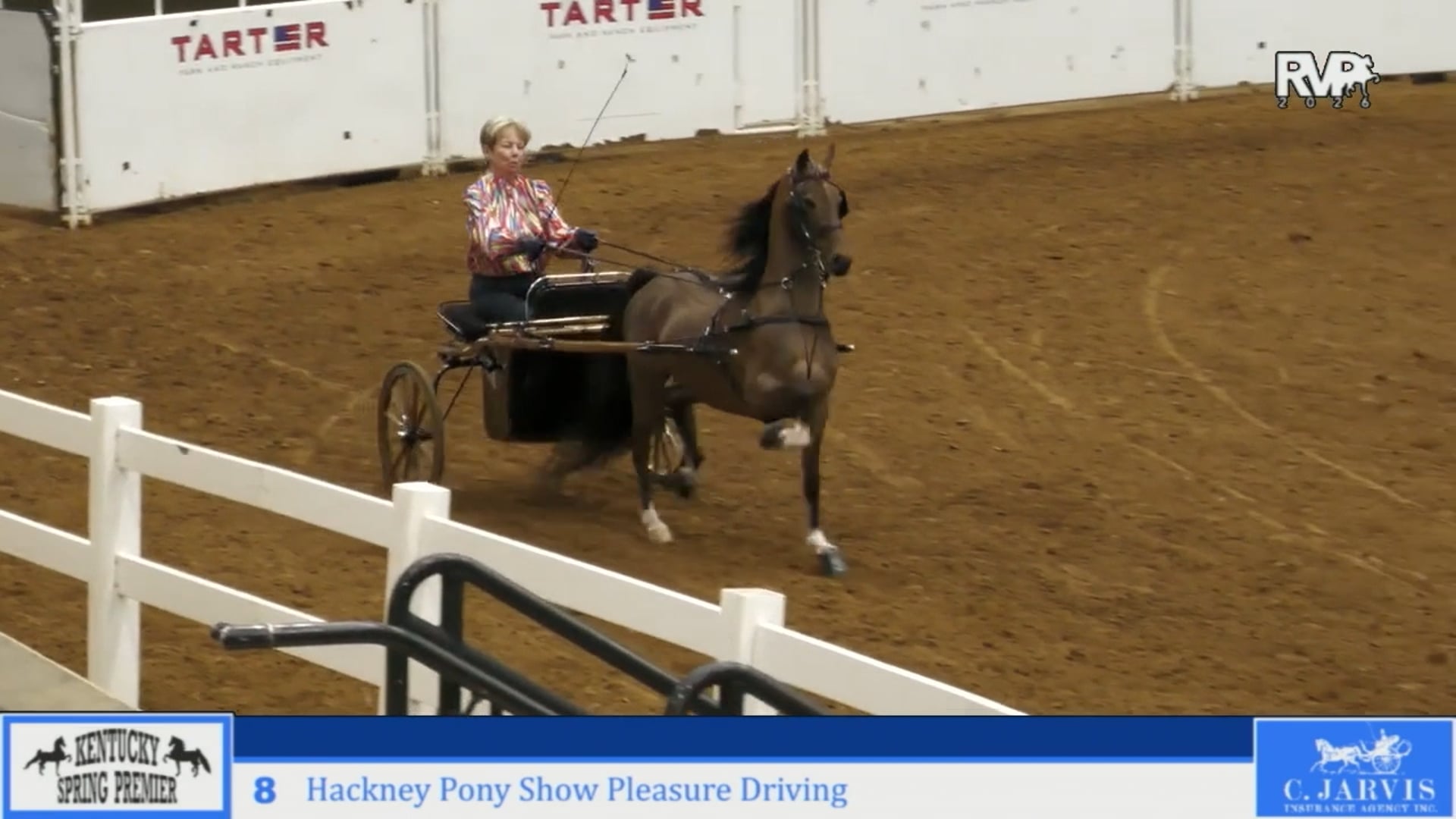 KYSP26 - Class 8 - Hackney Plny Show Pleasure Driving