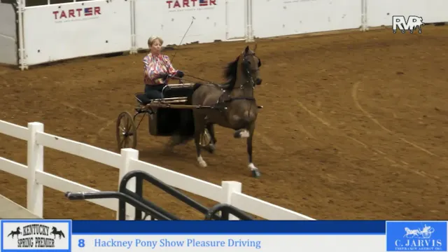 KYSP26 - Class 8 - Hackney Plny Show ...