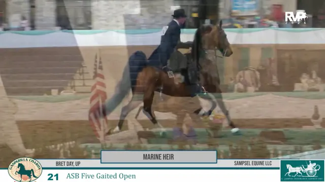 GC26 - Class 21 - Marine Heir and Bre...