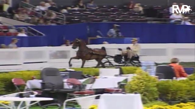 2007 WCHS Class 80 Amateur Gentleman'...