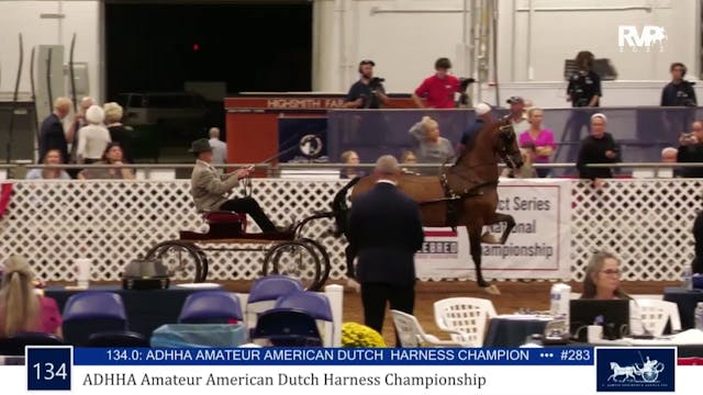 AAC23 - Class 134 - ADHHA Amateur Ame...