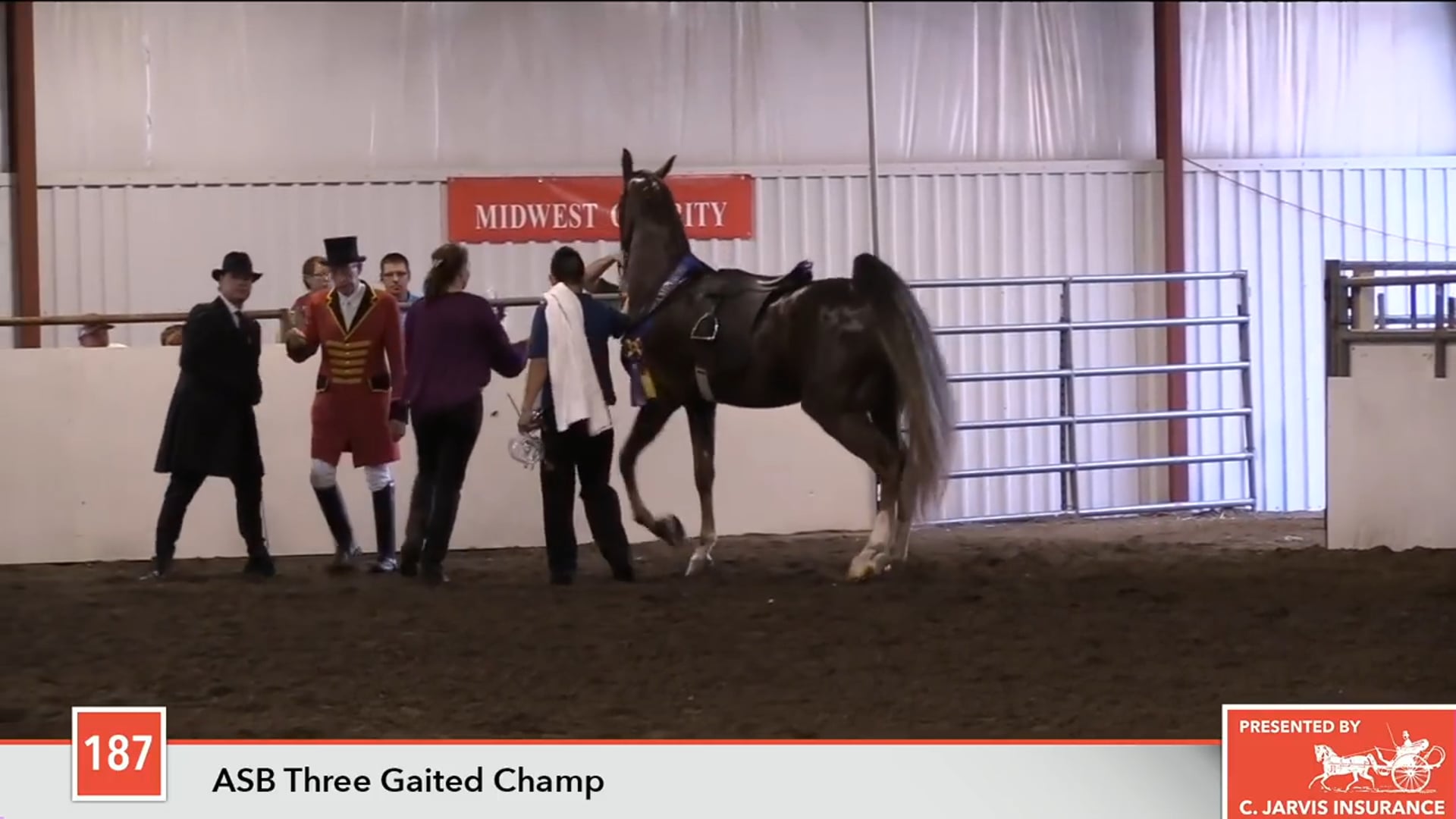 MW17 - Class 187 - HS Daydream's Heads Up - Championship