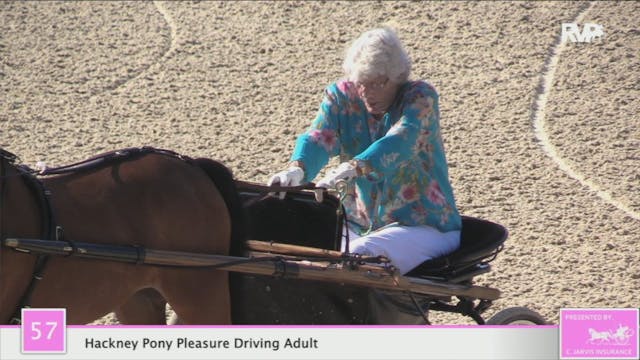 2020 LJL - Class 57 Hackney Pony Plea...