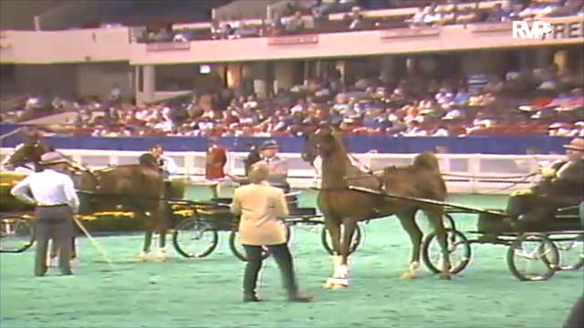 1992 WCHS Class 41 Kentucky Futurity ...