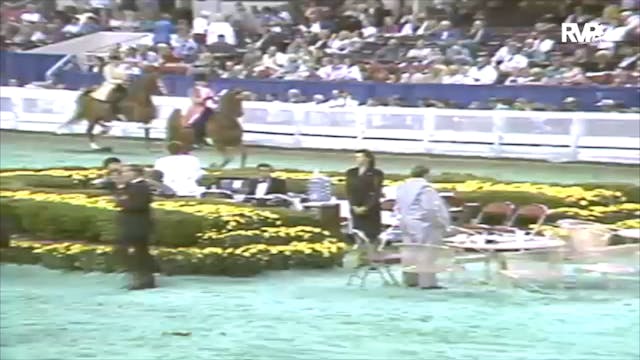 1991 WCHS Class 31 Ladies Three Gaite...