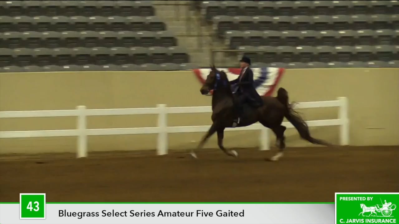 KYSP18 Class 43 Pie Crust