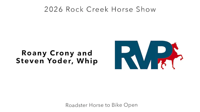 RC26 - Class 67 - Roany Crony and Ste...
