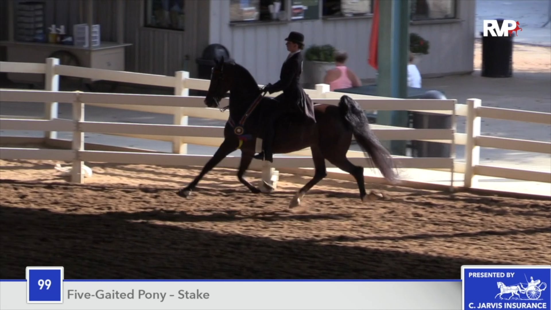 SEC18 - Class 99 - Camelot's Riding Out The Storm Championship