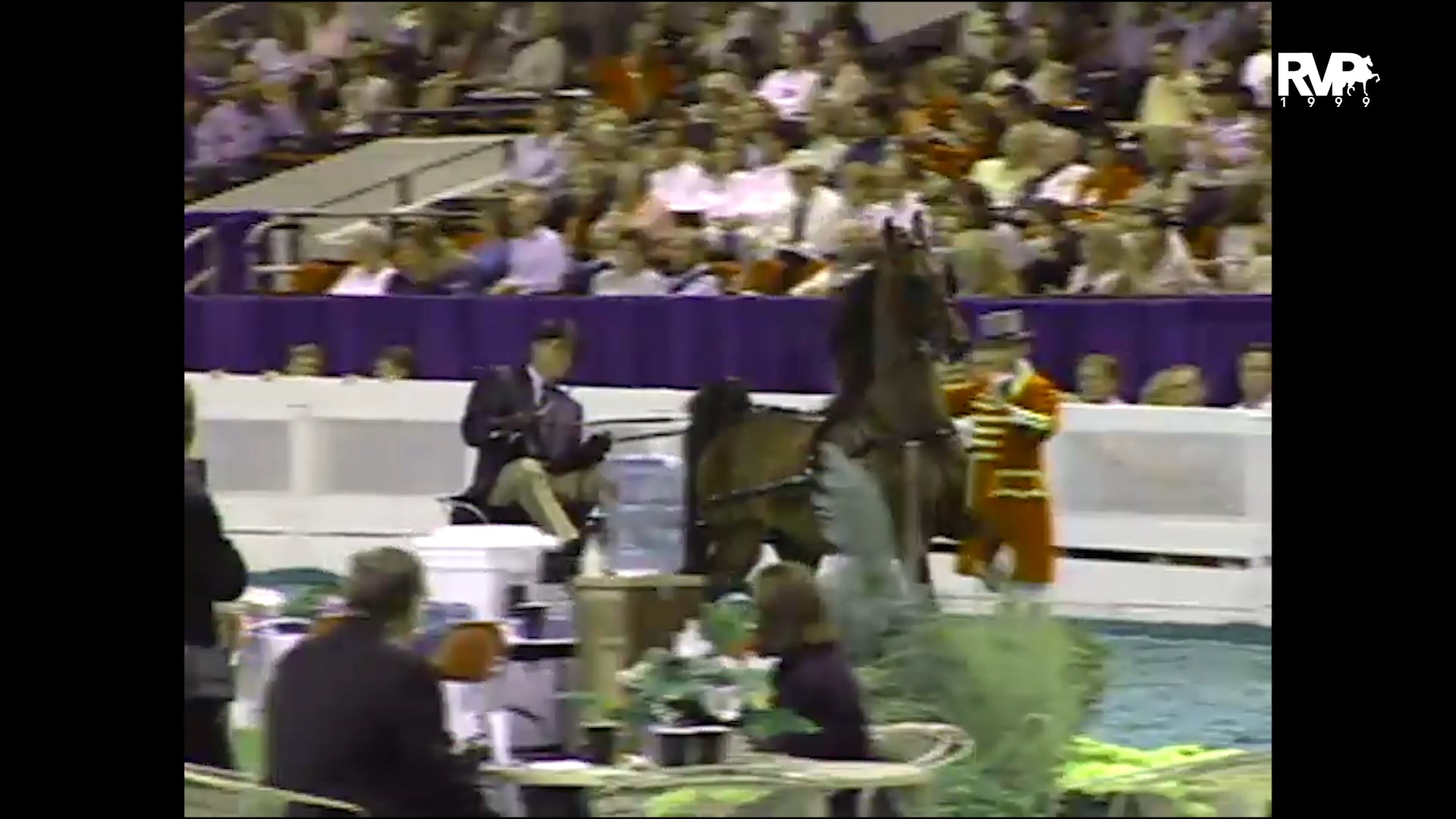 1999 WCHS - Class 5 Junior Fine Harness Mare Stake