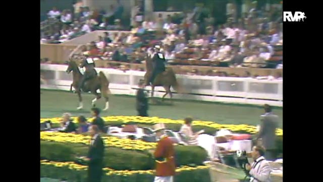 1988 WCHS Class 113 Three Year Old Th...