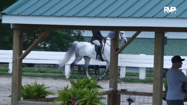 SCF25 - Class 11.1 - Saddle and Bridl...