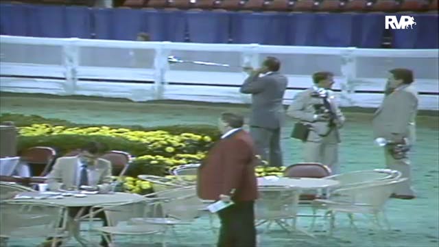 1991 WCHS Class 44 AHHS Futurity Wean...