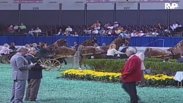 2009 World's Championship Horse Show ...