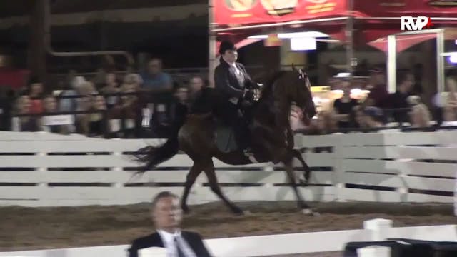 RC15 - Class 61 - Five Gaited Pony St...