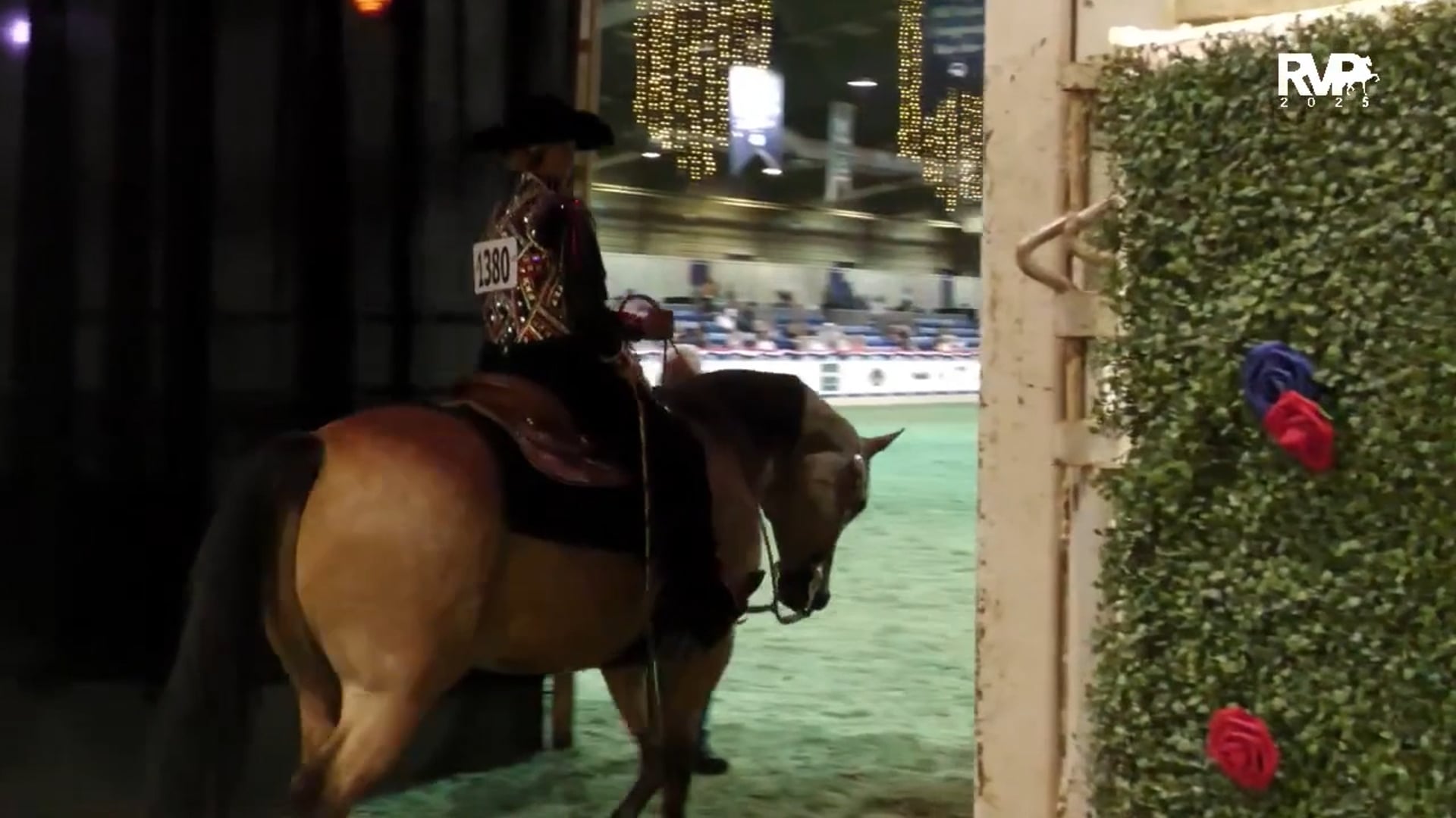 AN25 - Class 1170b - HA-AA Western Pleasure AATR Select CH - Section B