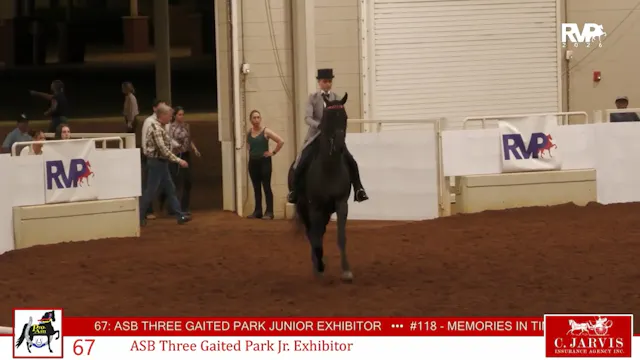 ProAm26 - Class 67 - ASB Three Gaited...