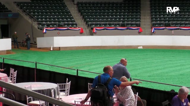 AN25 - Class 1444 - ABS HA-AA Gelding...