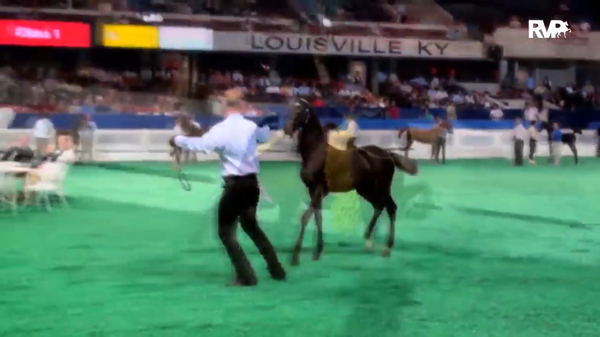 NCSC16 - Wednesday Morning