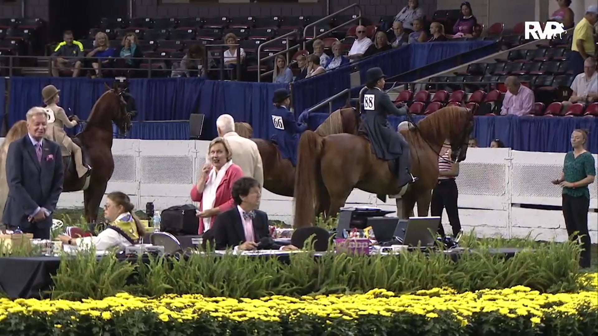 WCHS15 - Class 58 -  Equitation Open Walk:Trot Riders 9 Years Old
