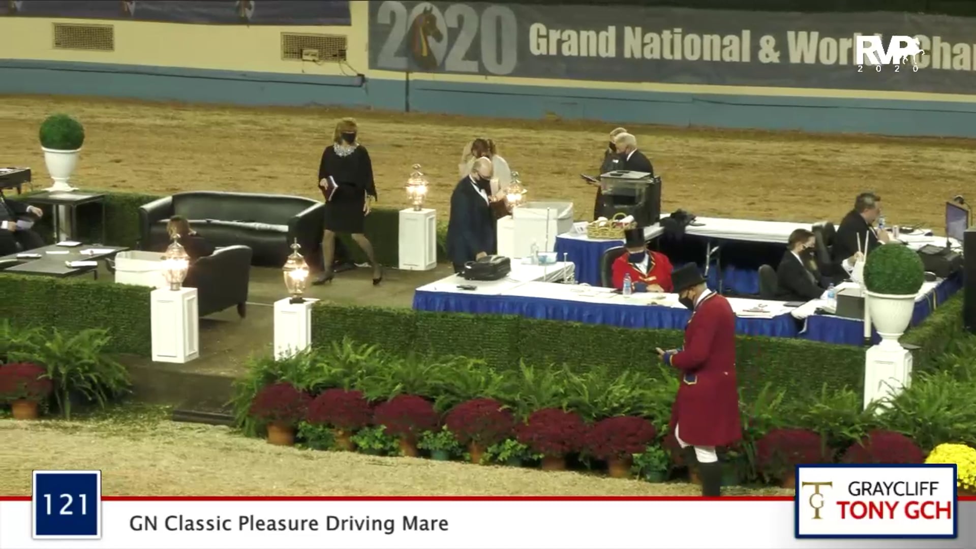 2020 MGN - 121 GN Classic Pleasure Driving Mare