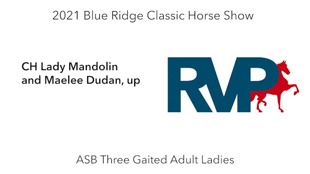 BR21 - Class 29 - CH Lady Mandolin an...