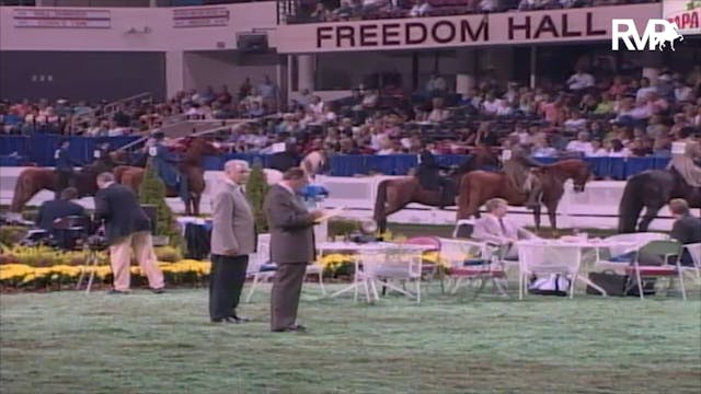 2003 WCHS Class 129 ASB Junior Exhibi...