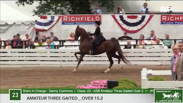 2017 RC - Class 23 Amateur Three Gait...